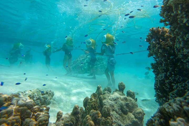 Seawalker en Moorea - Reserva Online en Civitatis.com