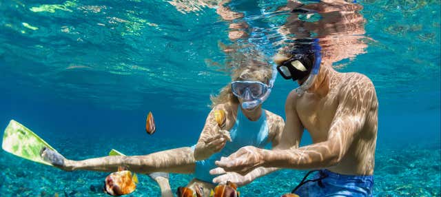 Snorkel en la Costa de Sídney - Reserva Online en Civitatis.com