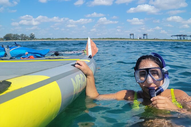 Snorkel en la isla para principiantes