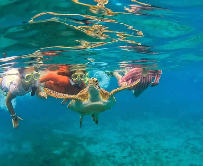 West Palm Beach: Excursión Guiada de Snorkel por el Puente de la Garza Azul