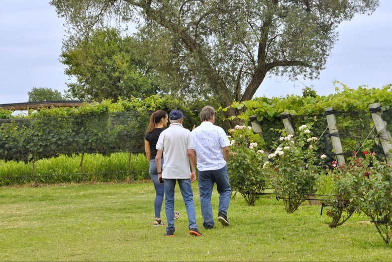 Tour de Bodegas por Colonia Caroya Con Degustacia de Vinos Desde ...