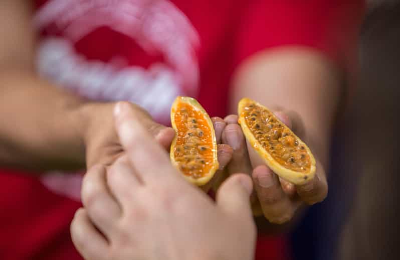 MEDELLÍN: Visita Guiada A Las Frutas exóticas |