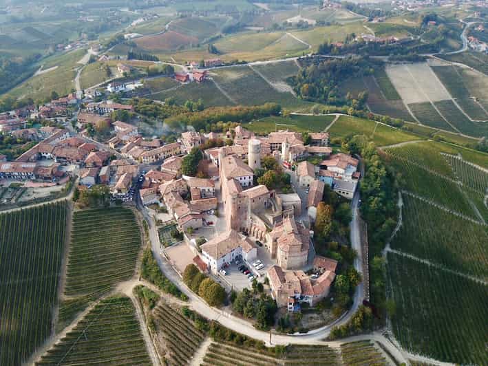 Alba: Caza de Trufas Con Degustacia de Quesos, Trufas y Vinos ...