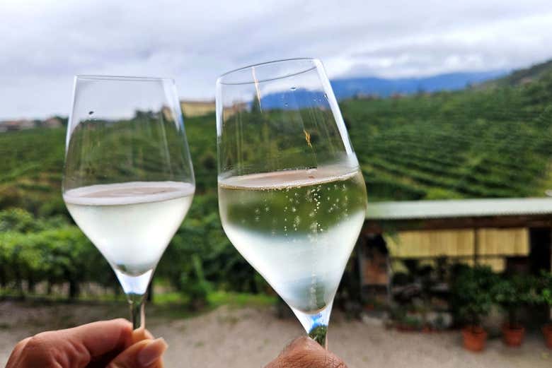 Tour del pros prosecco por Las Colinas de Valdobbiadene Desde Venecia