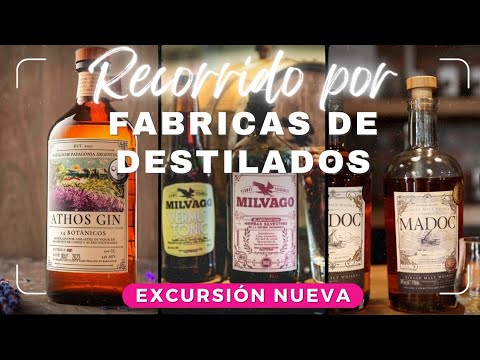 🔴 Excursión de Destilados en Bariloche: Whisky, Gin y Vermut 🍸🥃🫗 - ¿Qué Hacer en Bariloche?