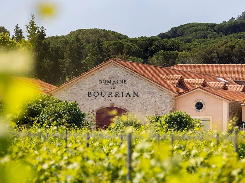 Las Mejores Experimentias vinícolas en el Golfe de Saint-Tropez