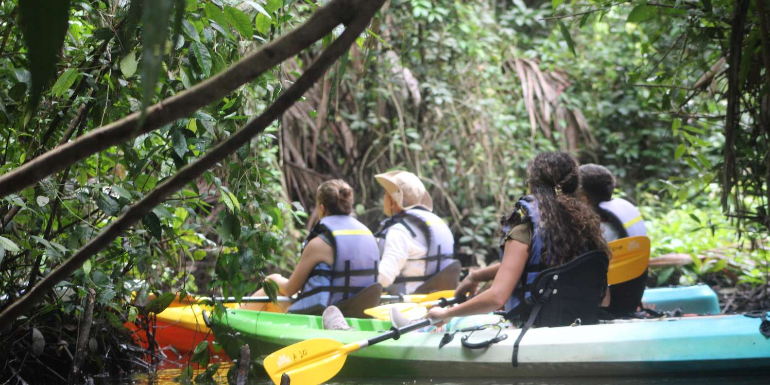 Tortuguero: Tour de kayak en Los Canales.