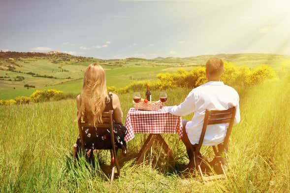 Tour enoturístico por Las Bodegas del Chianti Desde Florencia
