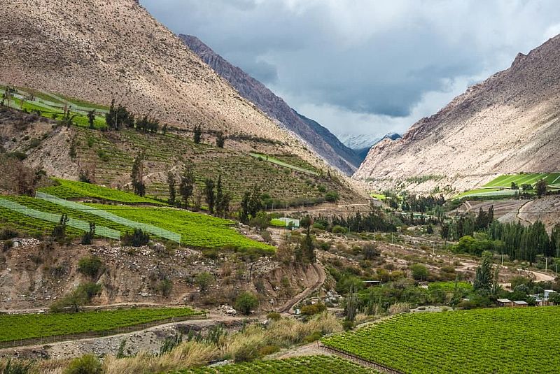 Tour La Serena: Visita Valle del Elqui