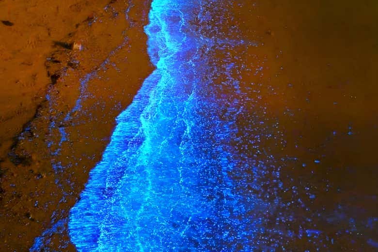 Tour Privado del Plancton Luminiscente en Atins - Civitatis.com