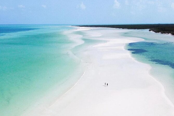 2025) ¡Tour de Belleza escondida en la Isla de Holbox!