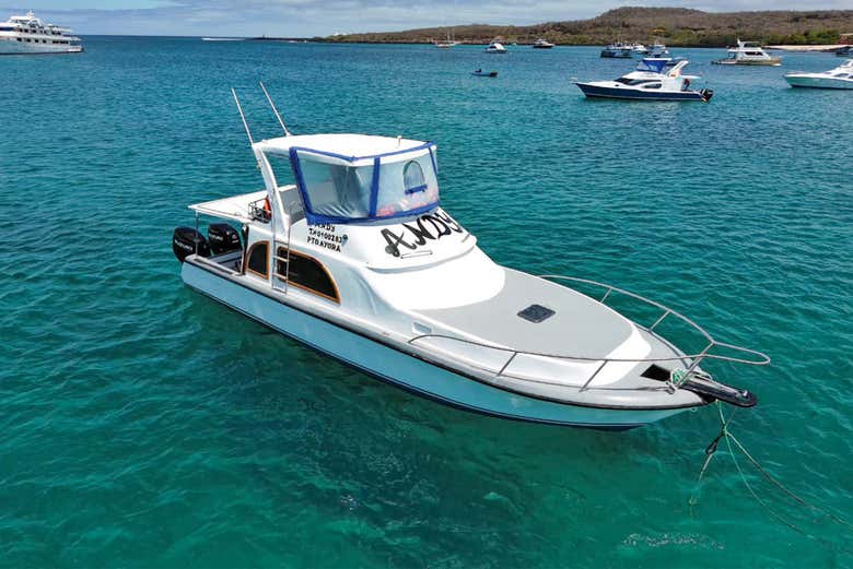 Traslado Entre Isabela y Santa Cruz, Isla Isabela - Civitatis.com