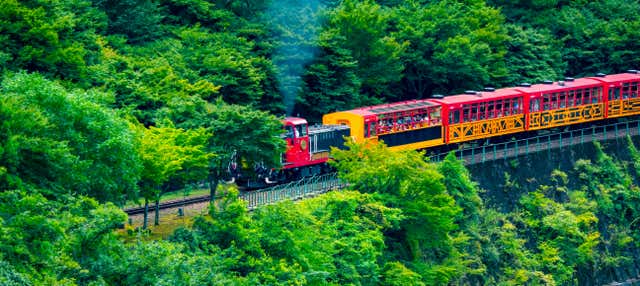 Tren Panorámico de Sagano, Kioto - Civitatis.com