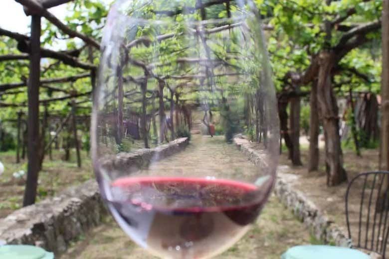 Visita a la Bodega Apicella de Tramonti - Reserva en Civitatis.com