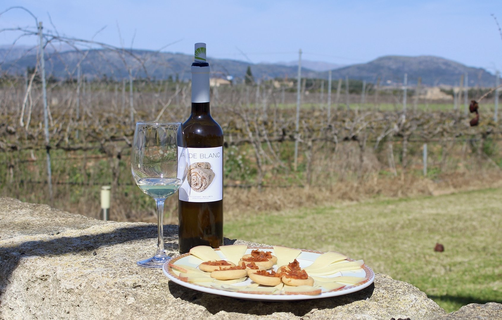 CATA DE VINOS EN MALLORCA: VISITA UNA BODEGA ÚNICA 🍷