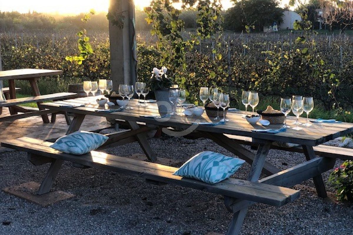 Visita Guiada A Bodegas Butxet en Muro, Mallorca |