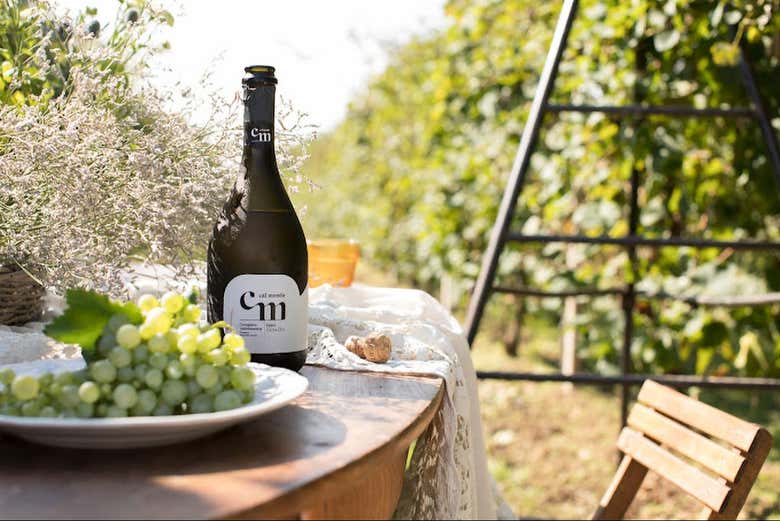 Tour de Cal Monda Winery, Pieve Di Soligo - Civitatis.com