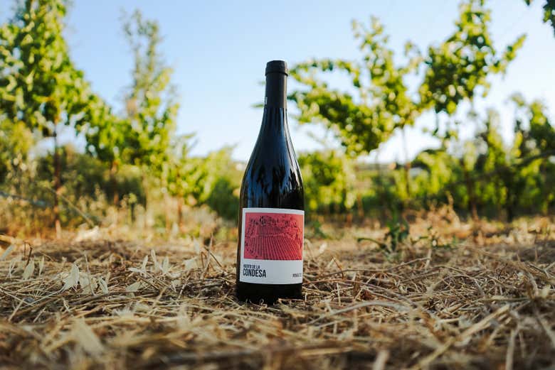 Visita a la Bodega Huerto de la Condesa, Ronda - Civitatis.com