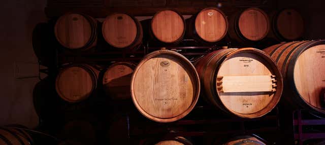 Visita a la Bodega Las dos Antiguas, Navas de Oro - Civitatis.com