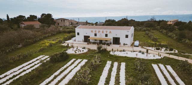 Visita a Casa Nepeta Distillery, Noto - Civitatis.com