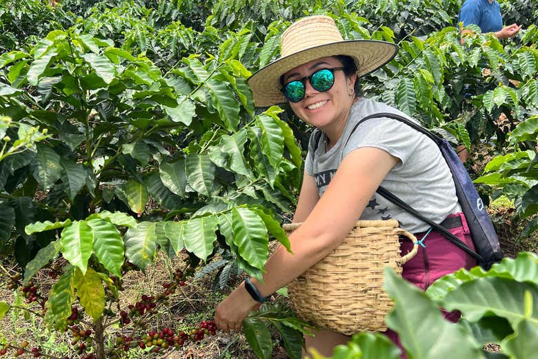 Visita a La Finca Cafetera Don Arnulfo Desde Neiva - Civitatis.com