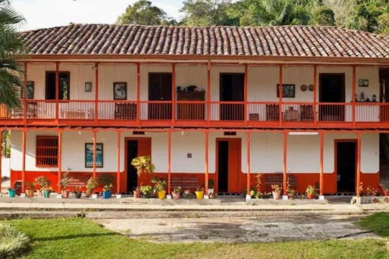 Visita a La Finca Cafetera El Balcón, Buenavista - Civitatis.com