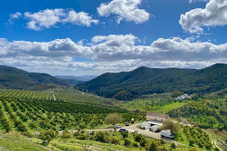 Visita a La Finca Solmark, Carratraca - Civitatis.com