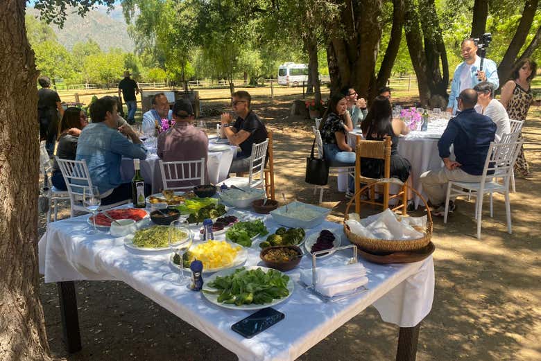 Visita a la Viña Tres Palacios, Santiago de Chile - Civitatis.com