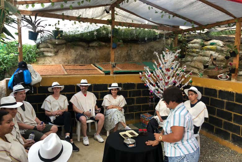 VisitA a UNA FINCA DE CAFÉ EN EL BARRIO LA SIERRA, MEDELLÍN