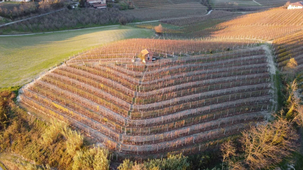 Visita un pastel y Cata de Vinos en neive, Entre Langhe, Roero y ...