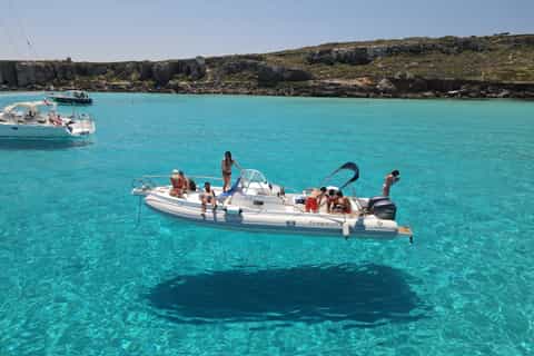 Provincia de Trapani Safaris y Vida Salvaje: Lo Mejor de 2025 ...