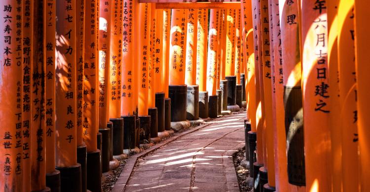 Excursión privada a inari y nara desde kioto, en español - 101viajes
