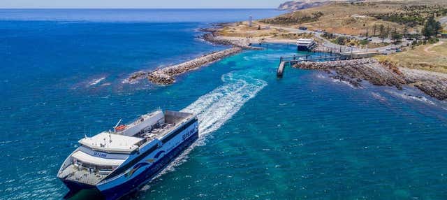 Ferry A Isla Canguro Desde Adelaida - Reserva en Civitatis.com