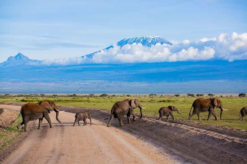 Desde Nairobi: Safari de 2 Días por el Parque Nacional de Amboseli ...
