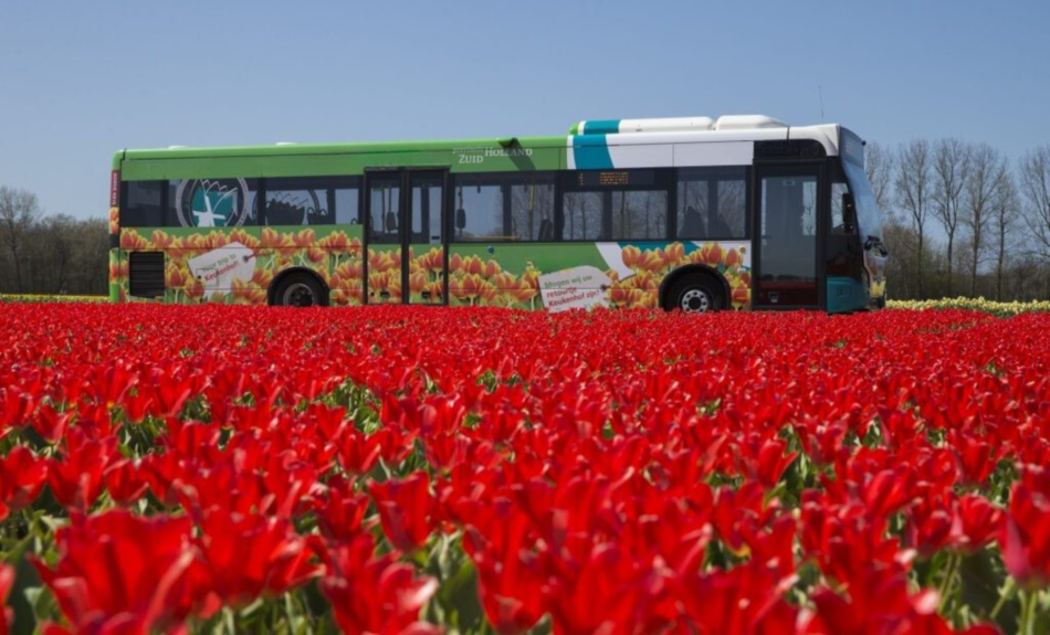 Transporte público - Keukenhof
