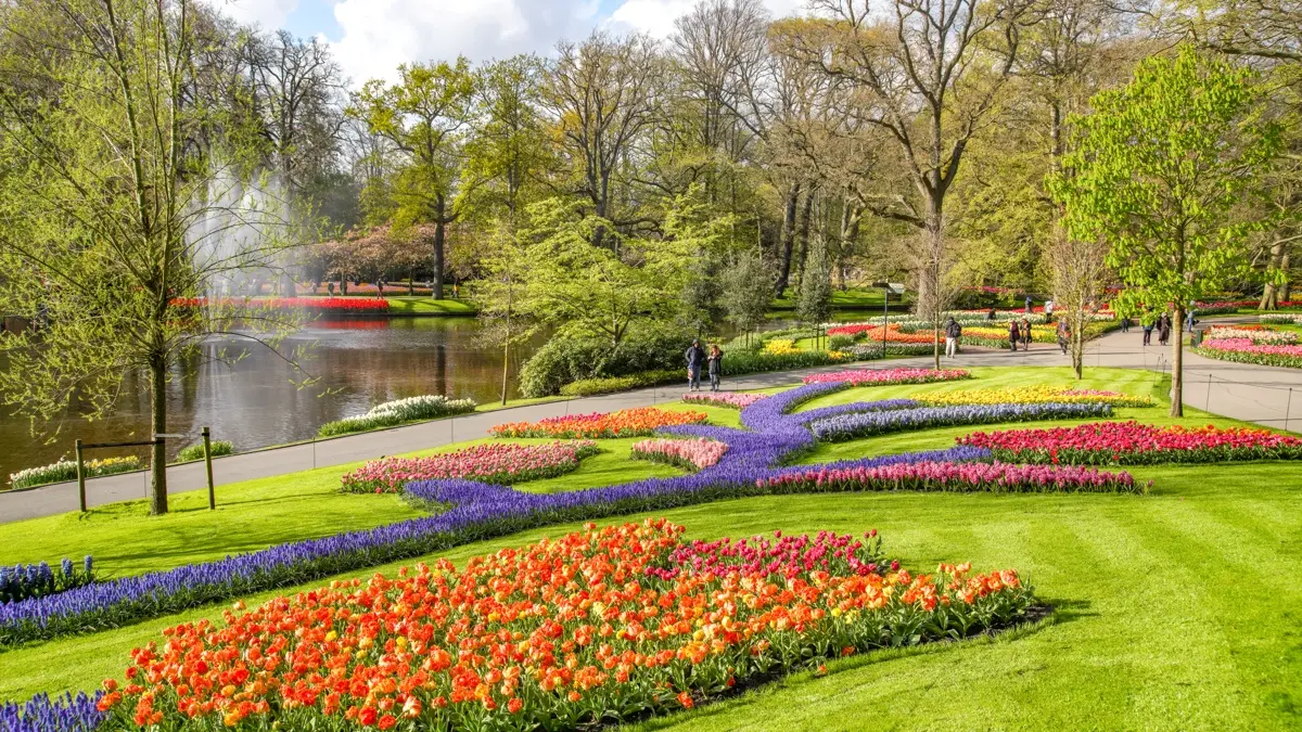 Entrada Al Keukenhof y Traslado en Autobús de Ida y Vuelta desde ...