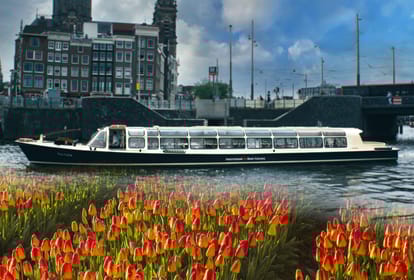 Amsterdam Ticket de Entrada A Keukenhof Con Autobús Lanzadera + ...