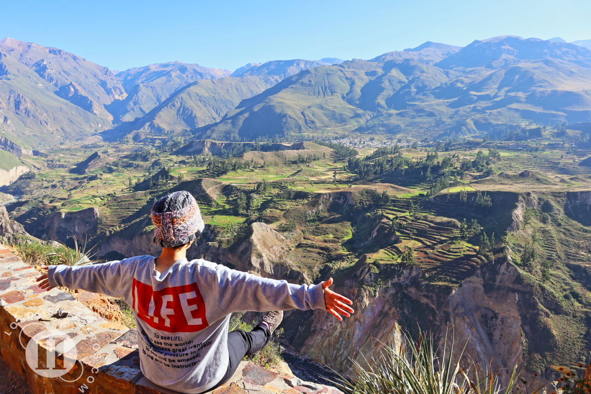 Excursión al Cañón del Colca, Hábitat del Magnígico Cóndor