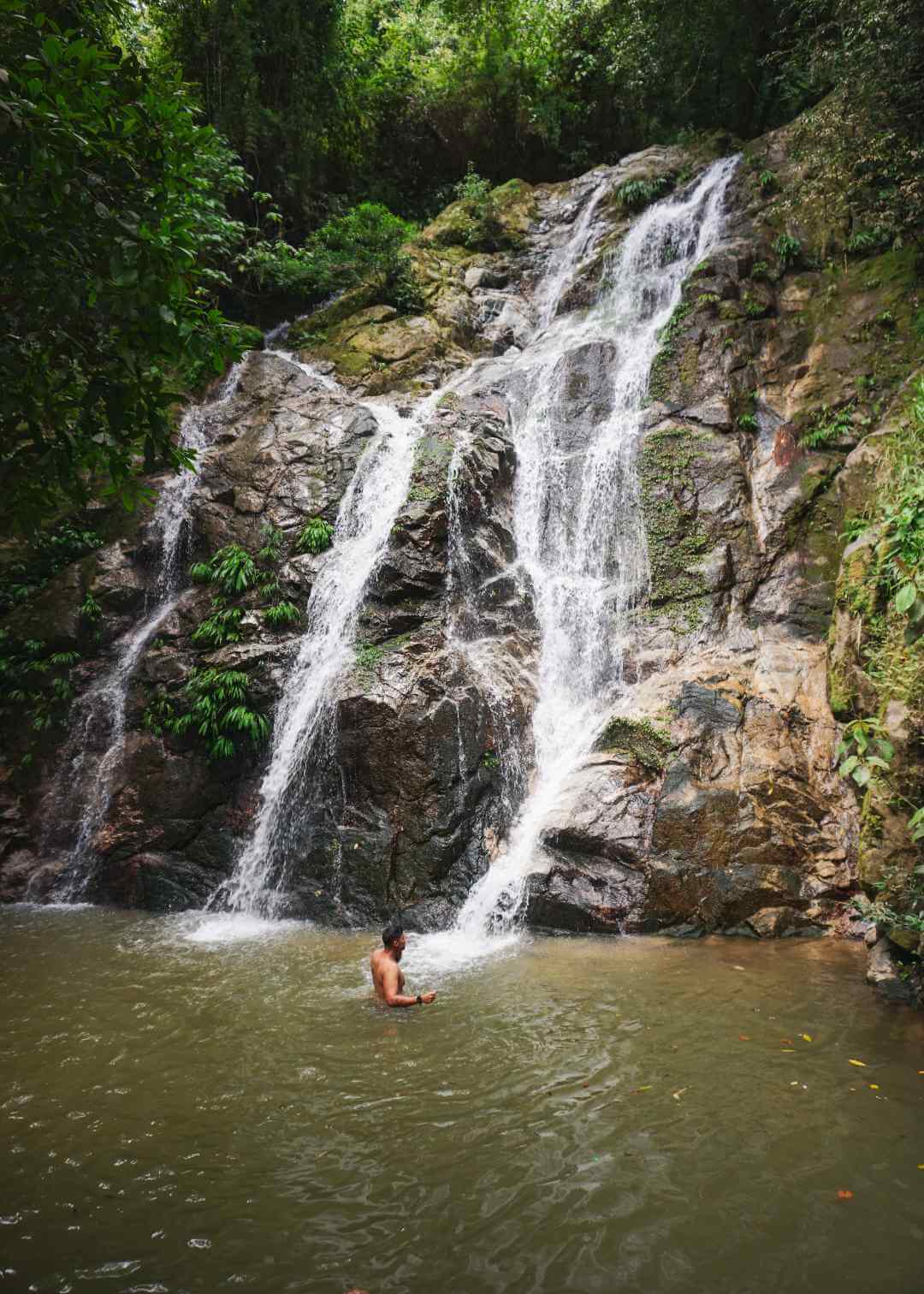 MINCA: Qué Hacer y Cómo Llegar Desde Santa Marta