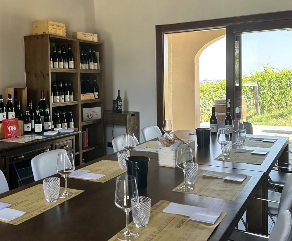 Cata Vertical de Barolo Con Visita al Viñedo y a la Bodega en ...