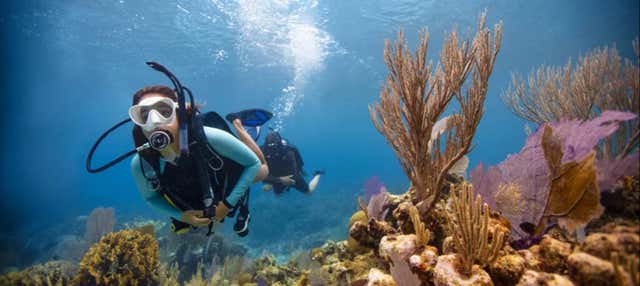 Bautismo de Buceo en Cayo Largo en Cayo Largo - Civitatis.com