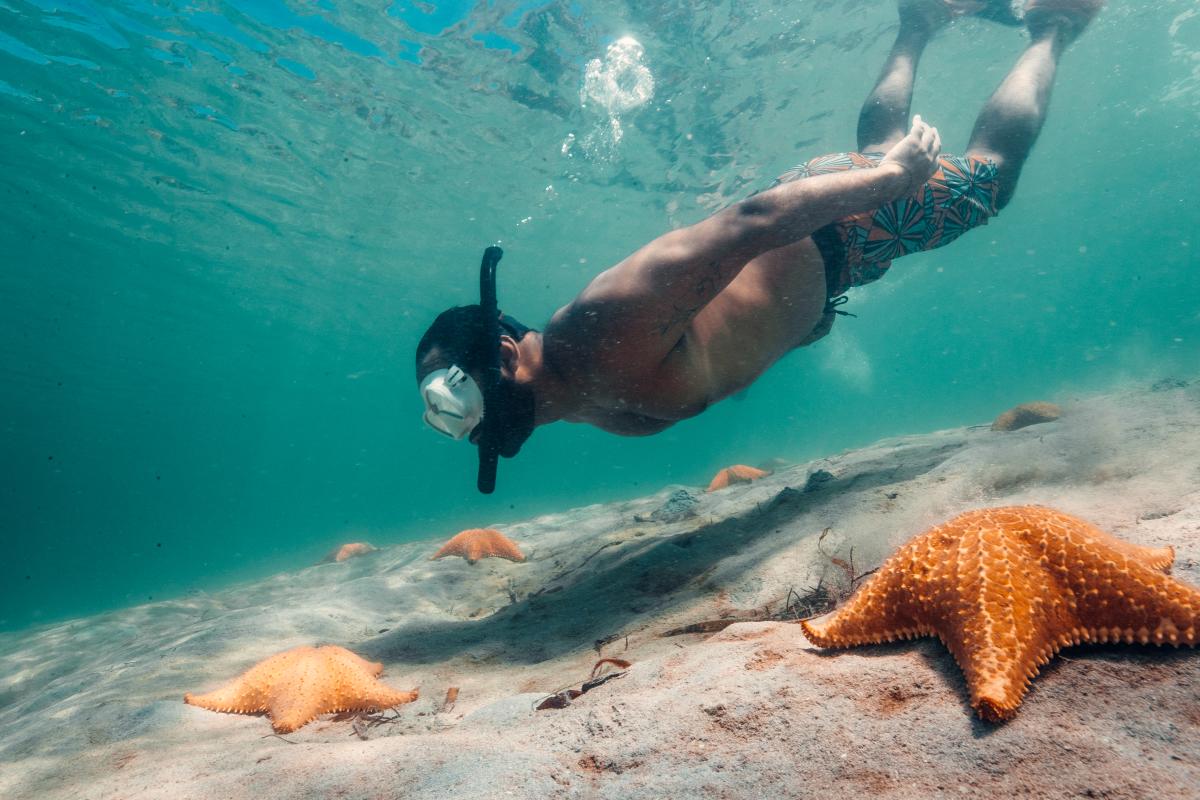 Top 10 Lugares Imperdibles de Buceo y Snorkeling en Bocas del Toro