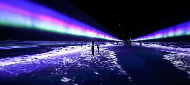 Entrada A Arte Museum Dubai en Dubái - Reserva en Civitatis.com