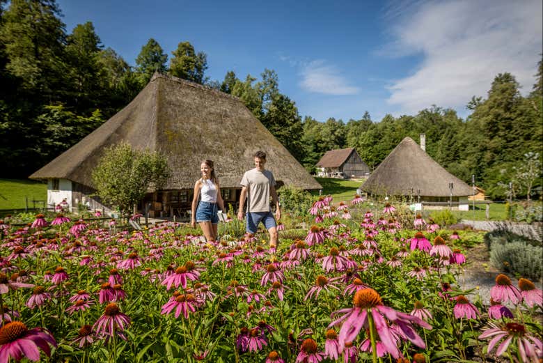 Museo al aire libre de Ballenberg |