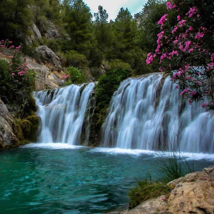 Excursión A Guadalest y Las Mágicas Fuentes del Algar |