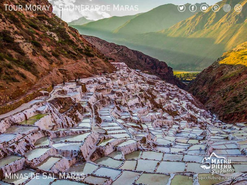 Tour a Moray y Maras Salinas + Mirador Chinchero Medio Día