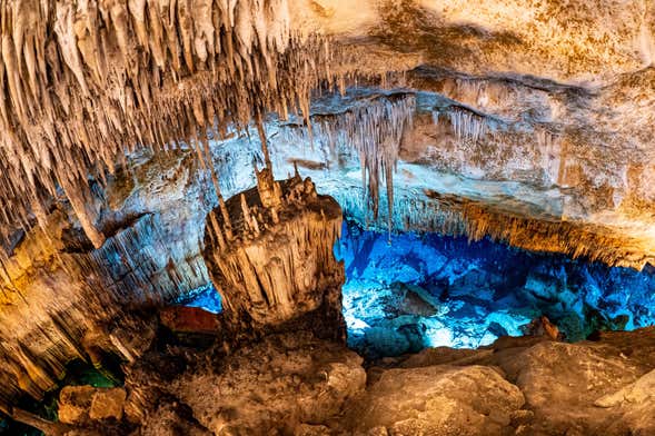 Excursión A Las Cuevas del Drach Desde el Sur de Mallorca, Palma ...