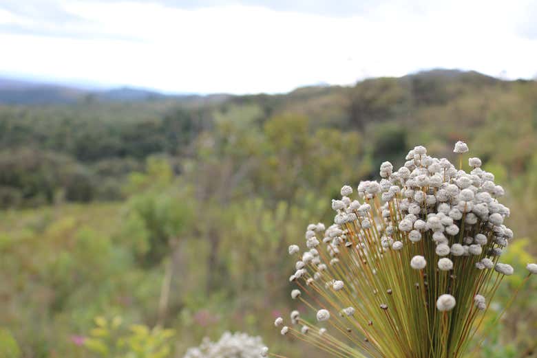 Excursión A São Bartolomeu desde Belo Horizonte + Senderismo por ...