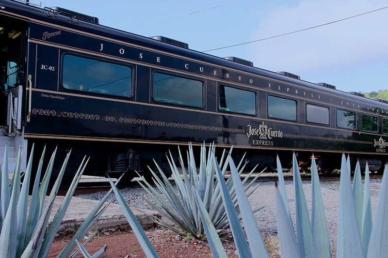 Tren Tequila Jose Cuervo Express - Tours de tequila