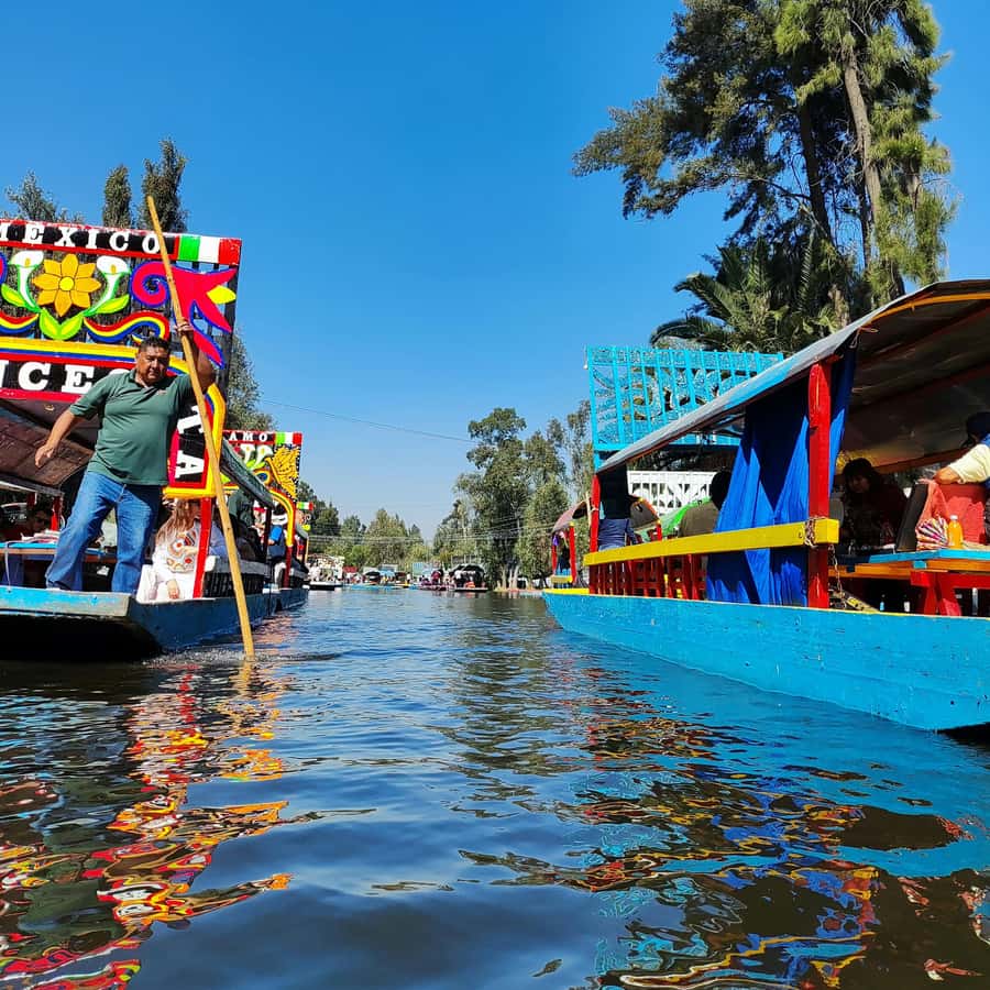 CDMX: Fiesta en Trajinera Con Bebidas, Música y Tacos.